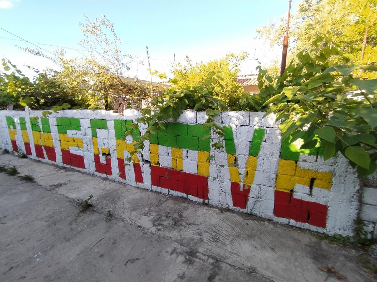 Pinegroove Hostel Vlora Ngoại thất bức ảnh
