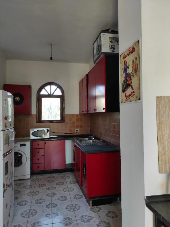 Pinegroove Hostel Vlora Ngoại thất bức ảnh
