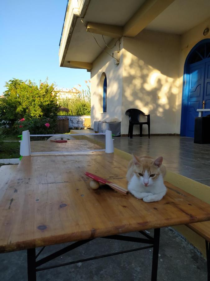 Pinegroove Hostel Vlora Ngoại thất bức ảnh