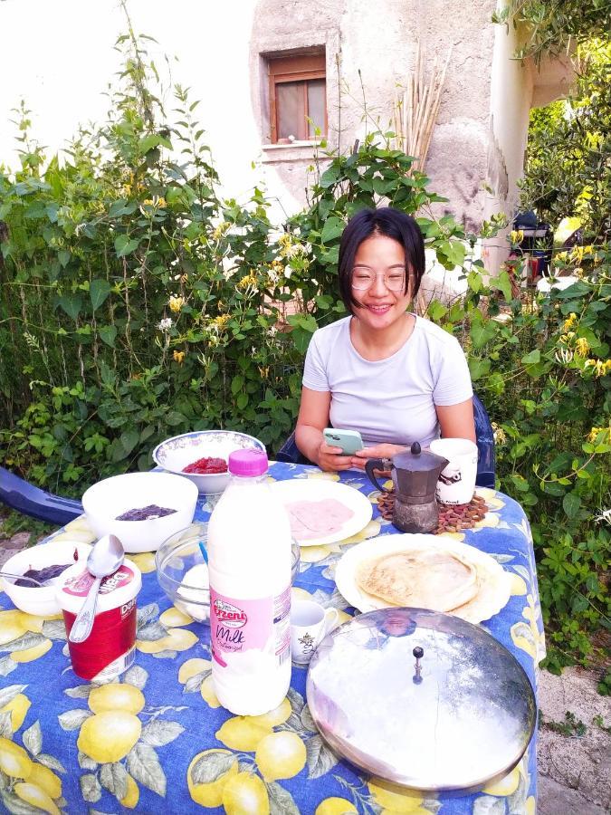 Pinegroove Hostel Vlora Ngoại thất bức ảnh